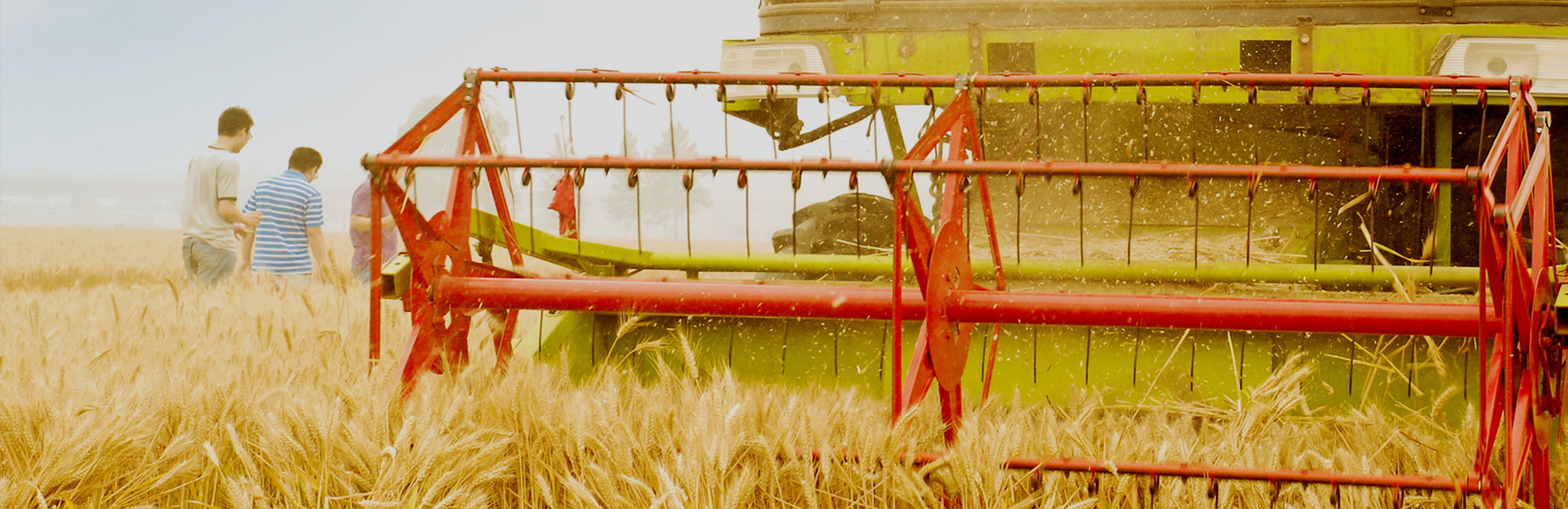 banner1.jpg